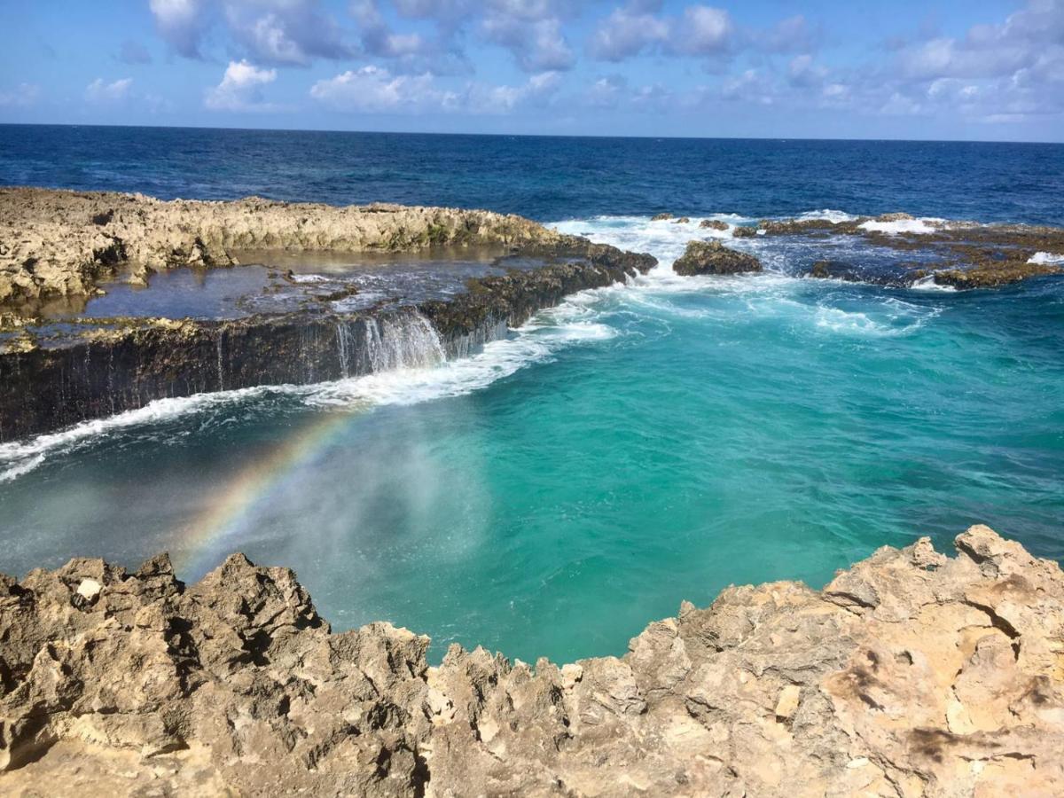 Palmita Hostel Aruba Οράνχεσταντ Εξωτερικό φωτογραφία